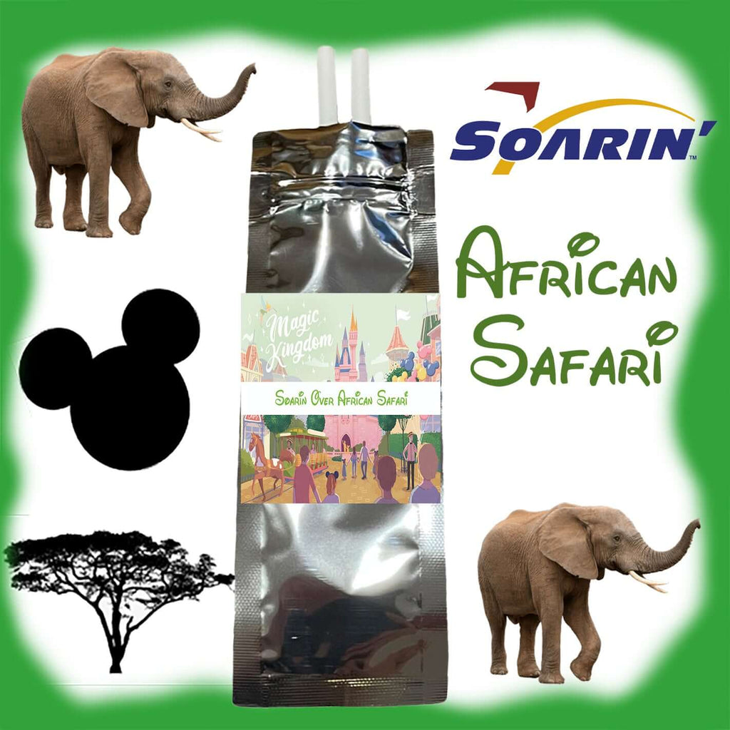 Soarin Over African Safari Disney Car...