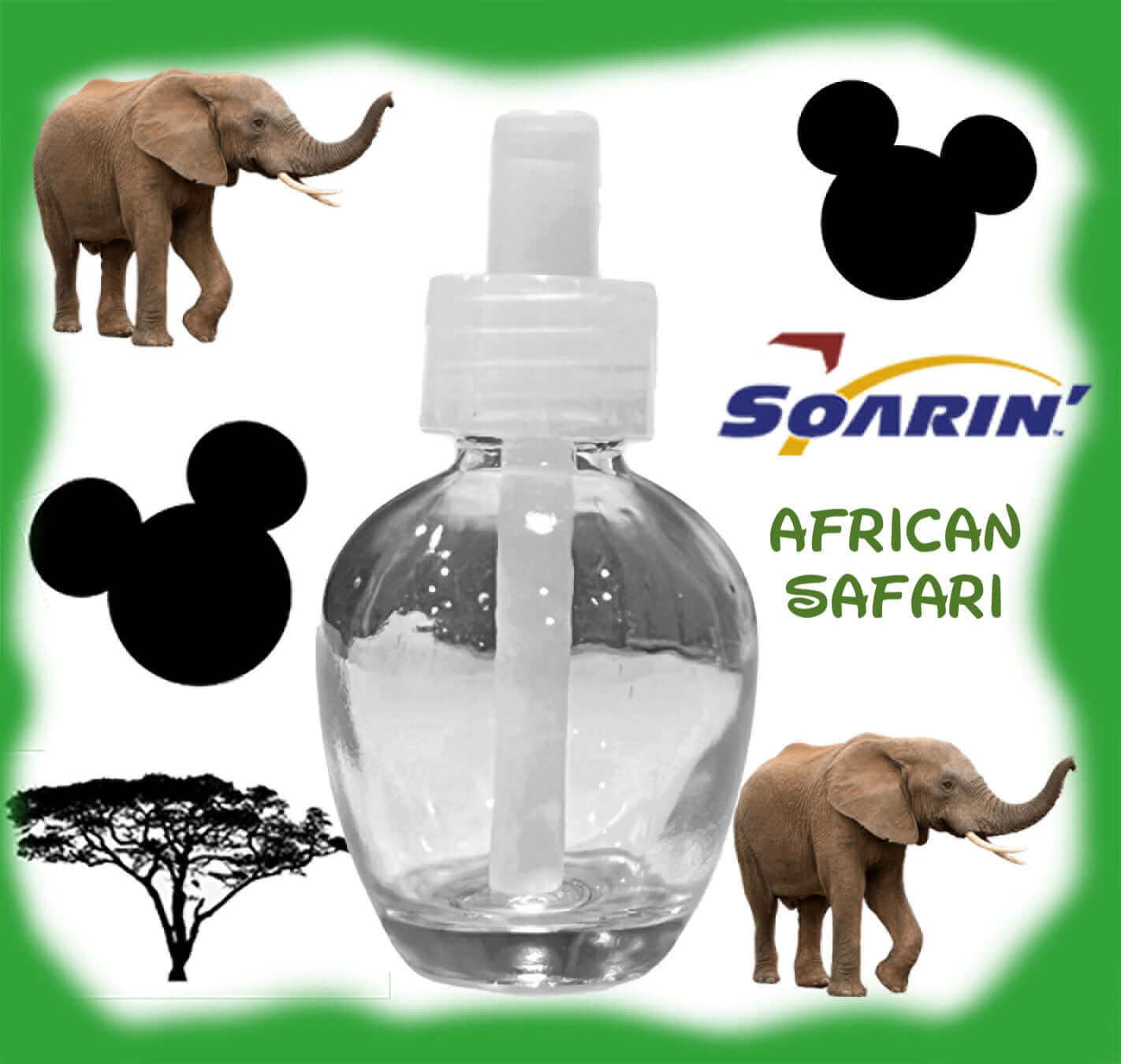 Soarin Over African Safari Disney Wall...