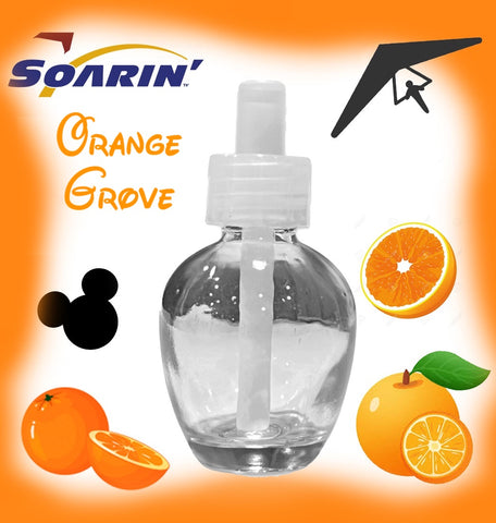 Soarin Over California Orange Grove Disney...