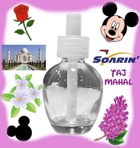 Soarin Over Taj Mahal Wall Diffuser...